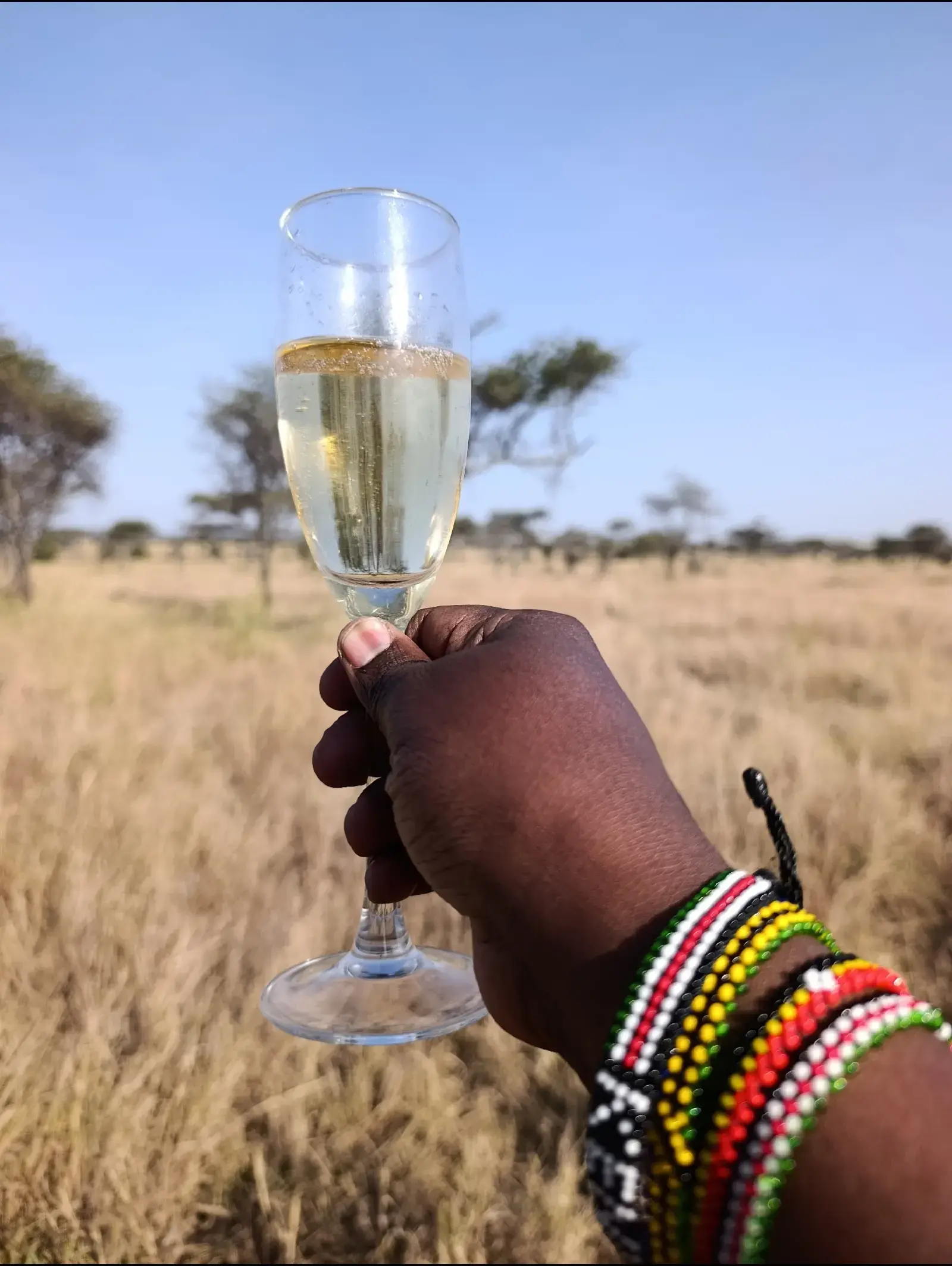 Why Kenya Should Be Your Next Safari Destination in 2026